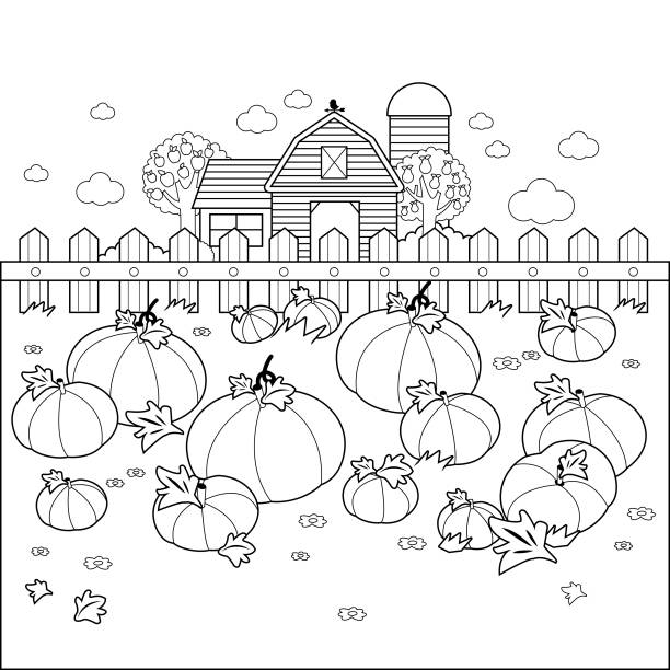 Rural landscape with a pumpkin field and a farmhouse. Vector black and white coloring page Rural landscape with a pumpkin field and a farmhouse. Vector black and white coloring page autumn coloring pages stock illustrations