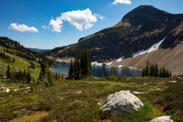 istock hiking in the alpine 1175639679