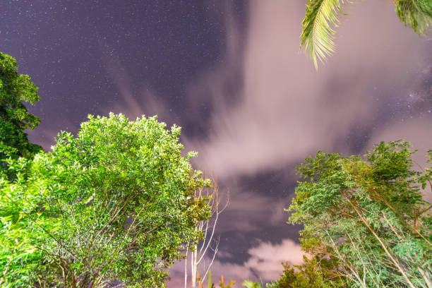 istock Milky way view from a tropical forest in southern emisphere, Mah 1175640662