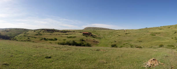 istock Panoramic of the Valdelinares mountains in summer 1175641697