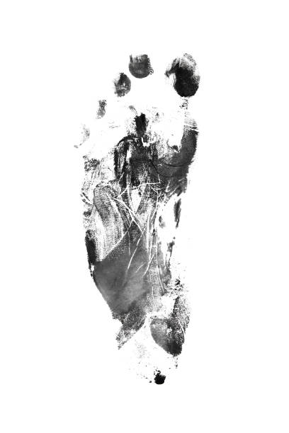 istock Black Footprint isolated on white background - Image 