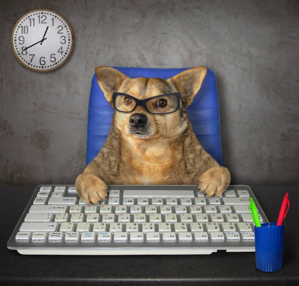 istock Dog works in the office 1175642670