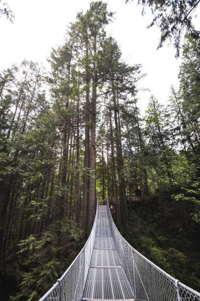 istock Suspended bridge in north america 1175644069