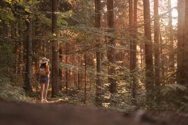 istock Unrecognizable woman on the woods 1175649172