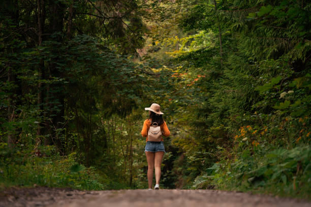 Back view of a young hiker woman on the woods