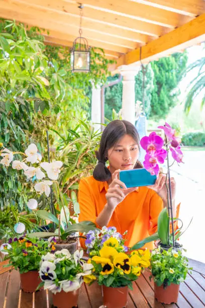 Asian woman taking photos of her orchid flowers at backyard garden