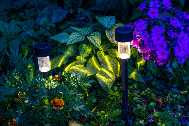 istock Magic colorful garden at night. 1175650832
