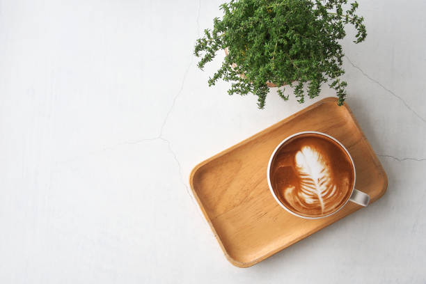 monstera_p1290656_leaf. - latté coffee tray froth ストックフォトと画像