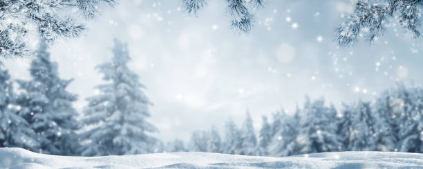 schneeig idyllisches winterlandschaftspanorama - spruchband fotos stock-fotos und bilder