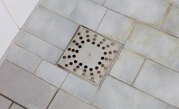 istock Floor drain in an old shower 1175653736