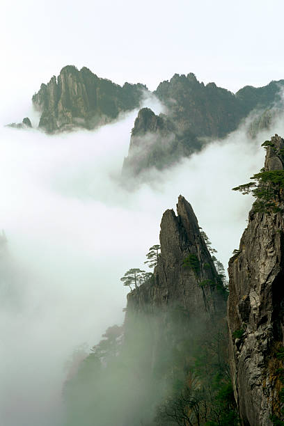 istock Beauty In Nature 117566226