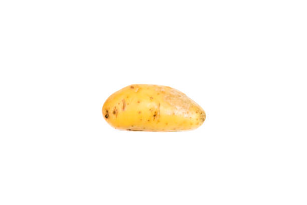 istock Potato Close up for isolated 1175662405