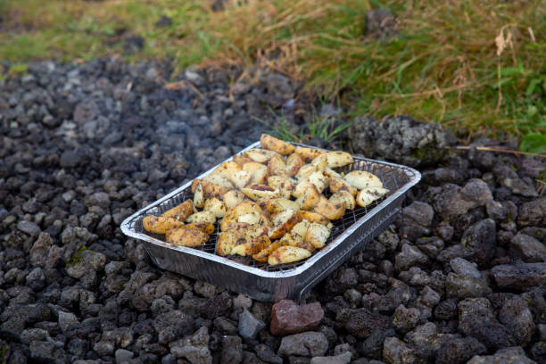 ジャガイモは使い捨てグリルで調理されます。小さなホイルバーベキューは石の上に立っています。バーベキューの準備, アイスランド - camping outdoors iceland red ストックフォトと画像