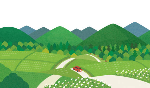 Summer countryside scenery Japanese summer rice field landscape rural scene illustrations stock illustrations