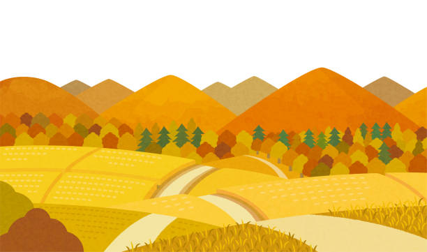 pemandangan musim gugur pedesaan jepang - paddy ilustrasi stok