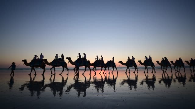 Silhouette of tourists on camel ride convoy on Cable Beach Broome Western Austral