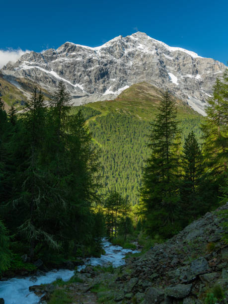 alpi dell'ortles vicino a sulden (alto adige, italia) - sulden foto e immagini stock