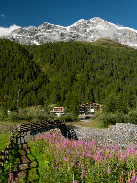 alpi dell'ortles vicino a sulden (alto adige, italia) - sulden foto e immagini stock
