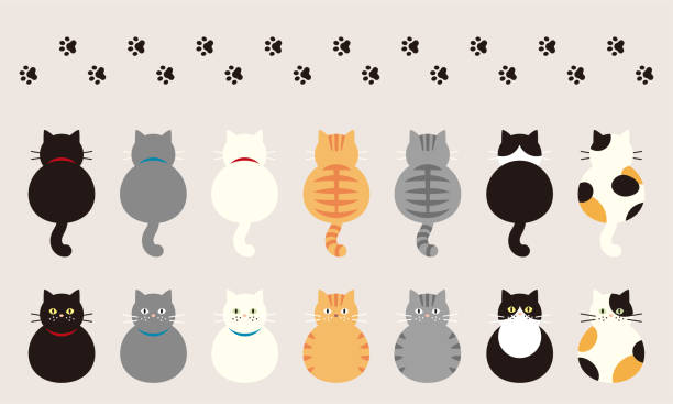 다양한 색상의 고양이 - 동물 발가락 stock illustrations