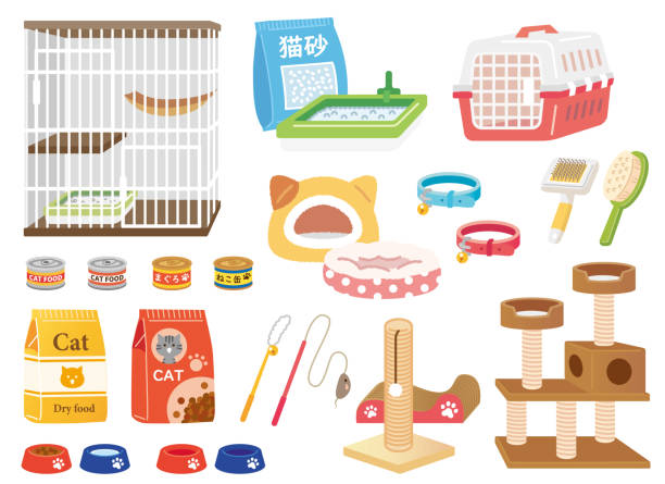 Cat breeding set What you need to keep a cat cat food stock illustrations