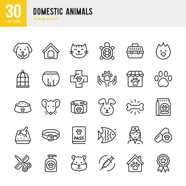 Domestic Animals - thin line vector icon set. Pixel Perfect. Set contains such icons as Dog, Cat, Pets, Bird, Fish, Hamster, Mouse, Rabbit, Pet Food, Veterinarian, Grooming, Pet Shop.