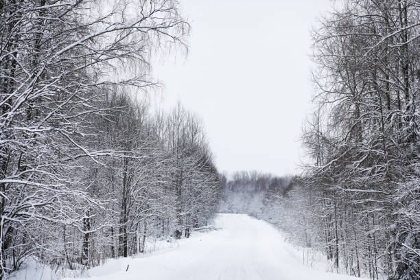 istock Landscape in the winter cloudy day 1175676243