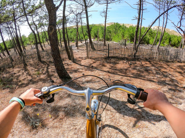 handle bar on a bicycle seen from the point of view of the cyclist with ocean sand dunes in background - footpath small green white imagens e fotografias de stock