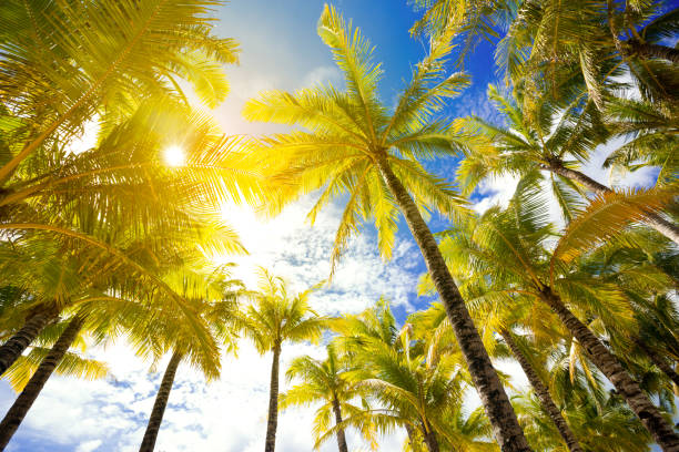 istock Word FUN in sand of beach 1175683507