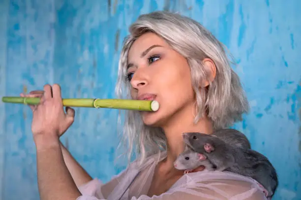Blond girl playing flute for rats as pied piper of Hamelin flutist with a DIY cane flute best pest control ever