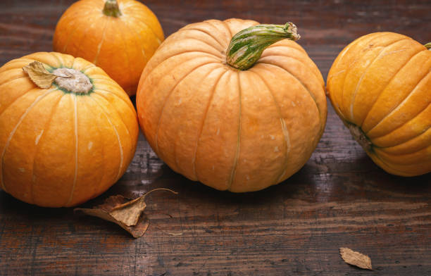 istock Ripe round pumpkins, dry leaves. Studio shot. 1175686118