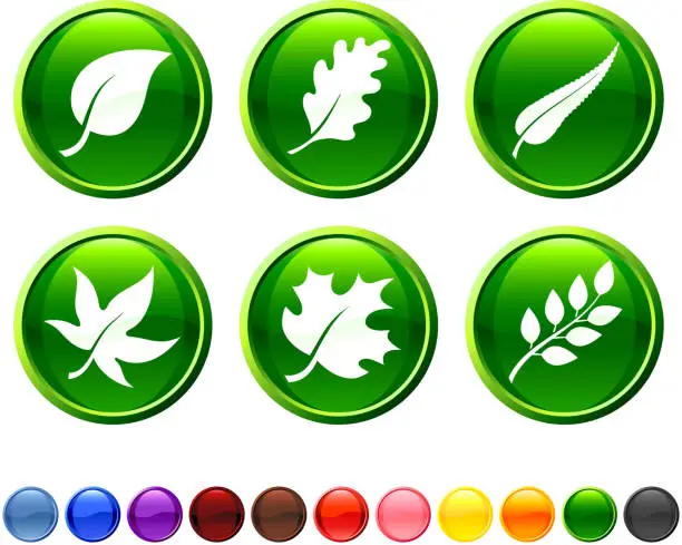 Vector illustration of Six green icons with a leaf theme in white.