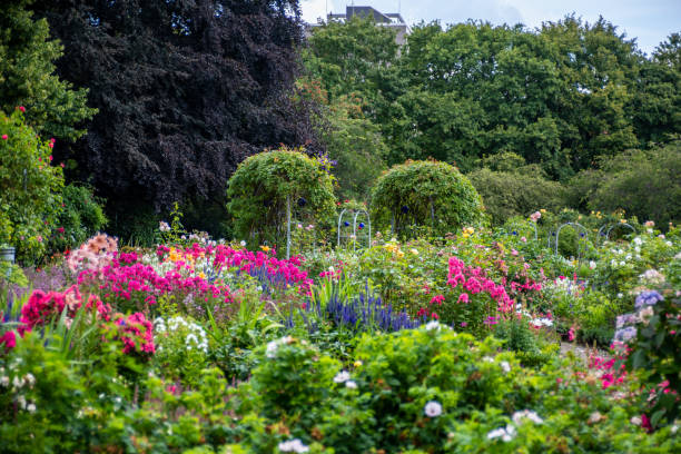 istock Plantingand Flowers 1175689265