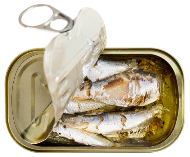 istock Sardines in oil 1175692677