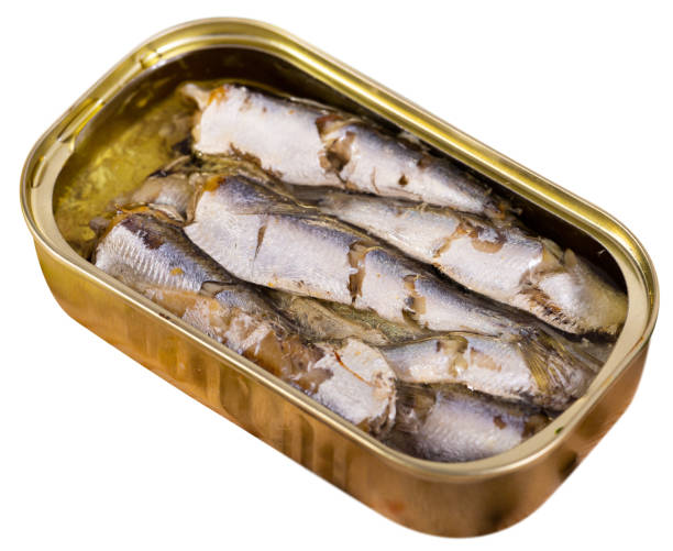 istock Open can of sardines 1175692924