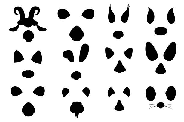검은 실루엣 동물 얼굴 요소 설정 만화 평면 디자인 귀와 코 벡터 일러스트 레이션 흰색 배경에 격리 - raccoon dog stock illustrations