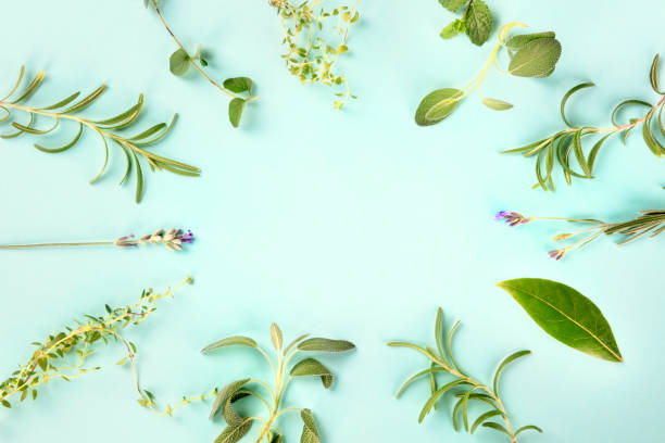 istock Culinary aromatic herbs, shot from the top on a teal blue background, forming a frame with a place for text, a food design template 1175695756