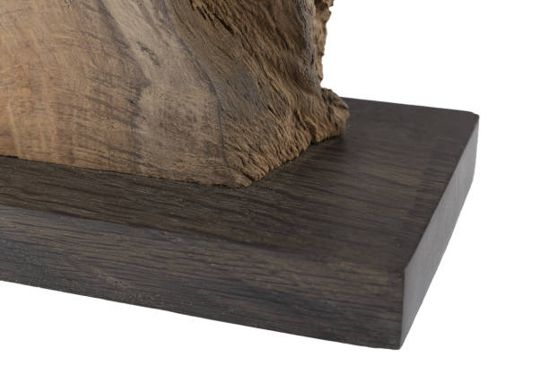 istock Mounted piece of bog oak on a white background 1175695795
