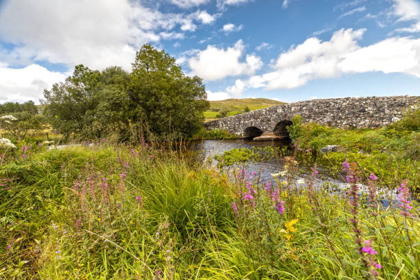 istock Quiet Man Bridge in County Galway, Ireland 1175696032