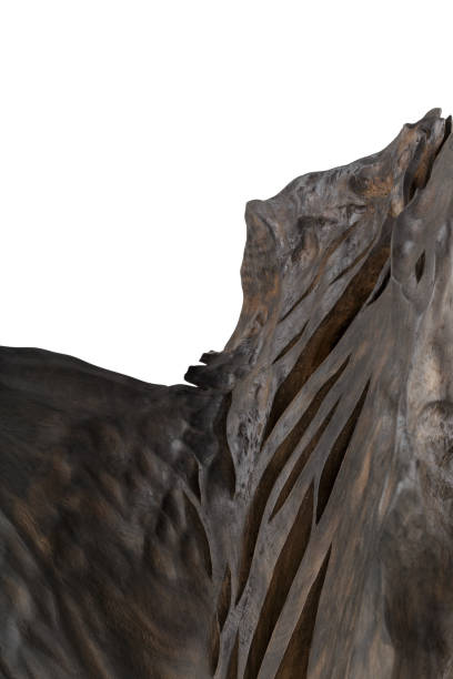 istock Mounted piece of bog oak on a white background 1175696414