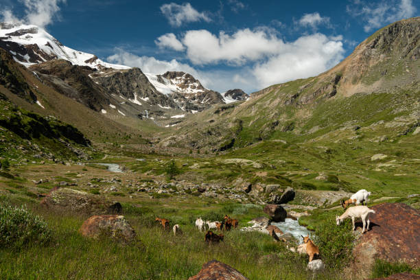 istock Martell valley in South Tyrol (Italy) 1175696466