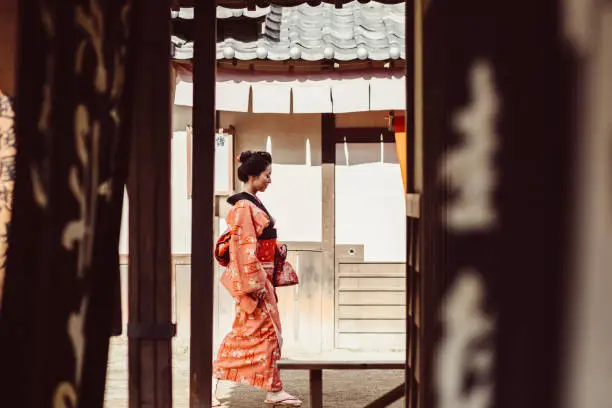Geisha on a leisure walk