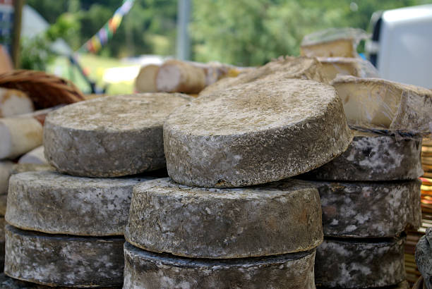 cheese stock photo