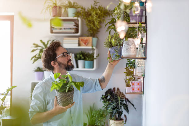 Man taking care of her potted plants at home stock photo