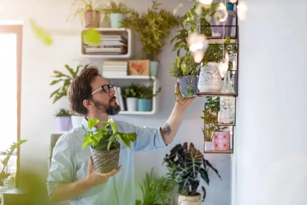 Man taking care of her potted plants at home