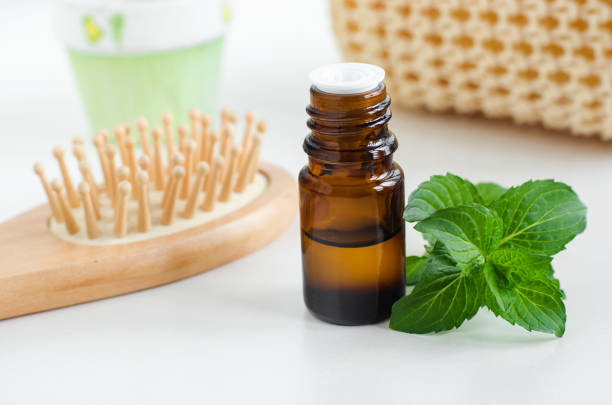 istock Small bottle with essential peppermint oil. Fresh mint leaves close up. Aromatherapy, spa and herbal medicine ingredients. Copy space 1175702187