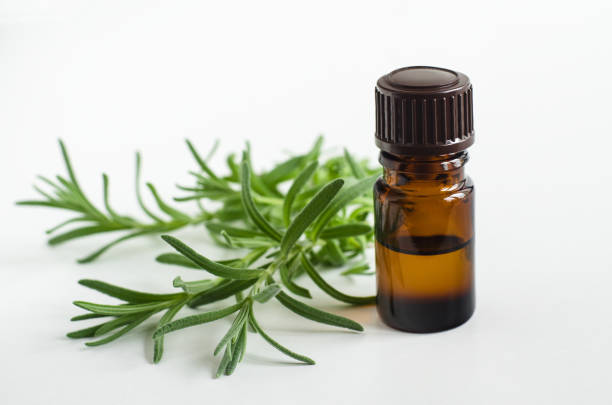 istock Small bottle with essential oil. Aromatherapy, spa and herbal medicine ingredients. Copy space 1175702199