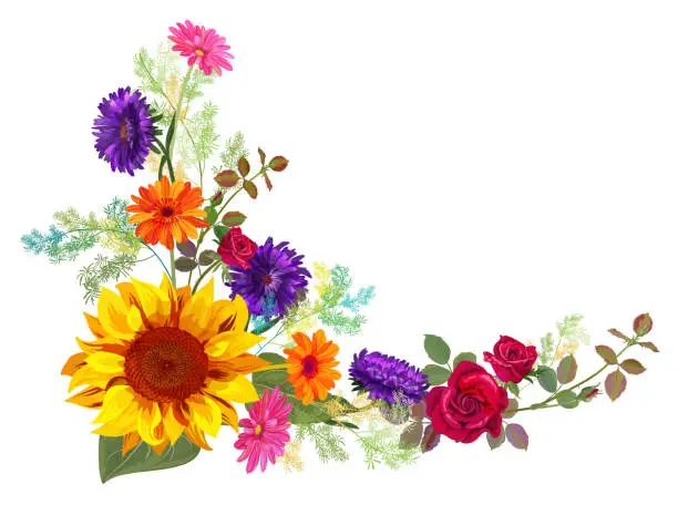 Vector illustration of Angled autumn’s frame: orange, yellow sunflowers, red roses, purple asters (Michaelmas daisy), gerbera daisy flowers, twigs on white background. Digital draw, illustration in watercolor style, vector