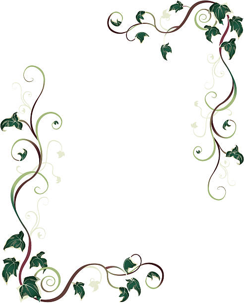 плющ границы - ivy vine leaf frame stock illustrations