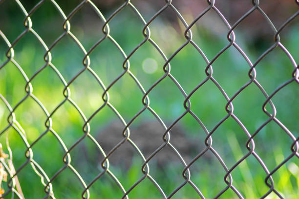 istock Chain fence against green grass background. 1175705382
