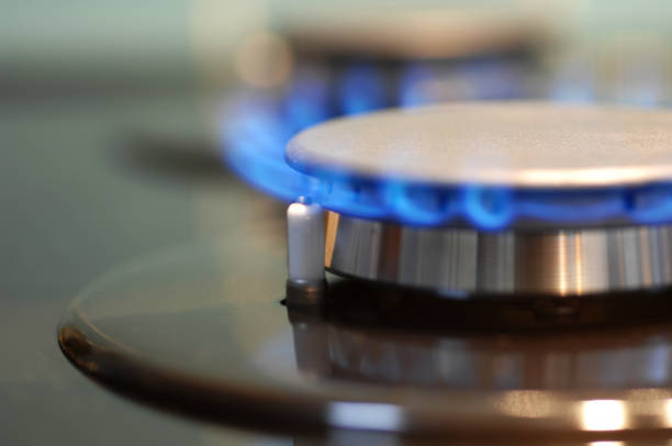 istock Blue flame coming from a burner on a gas stove 117570584